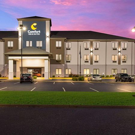 Comfort Inn & Suites Кейв Сити Екстериор снимка