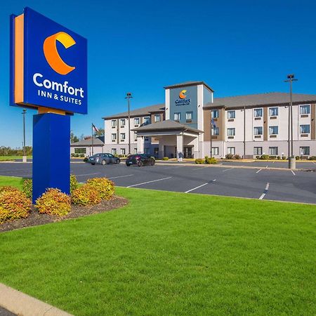 Comfort Inn & Suites Кейв Сити Екстериор снимка