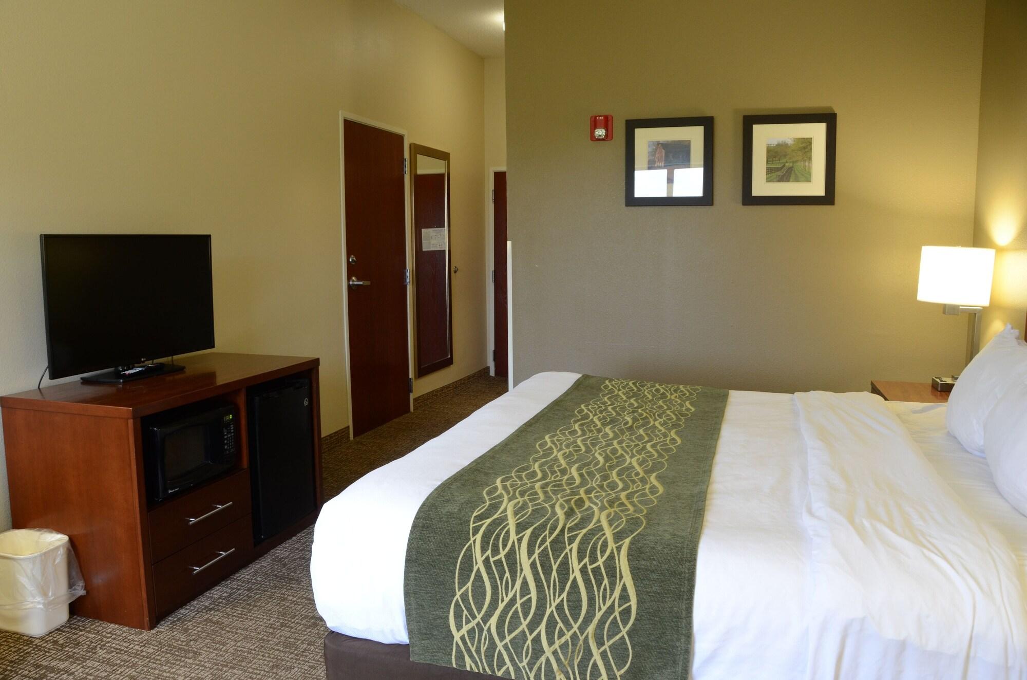 Comfort Inn & Suites Кейв Сити Екстериор снимка