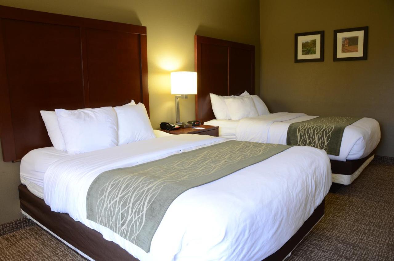 Comfort Inn & Suites Кейв Сити Екстериор снимка