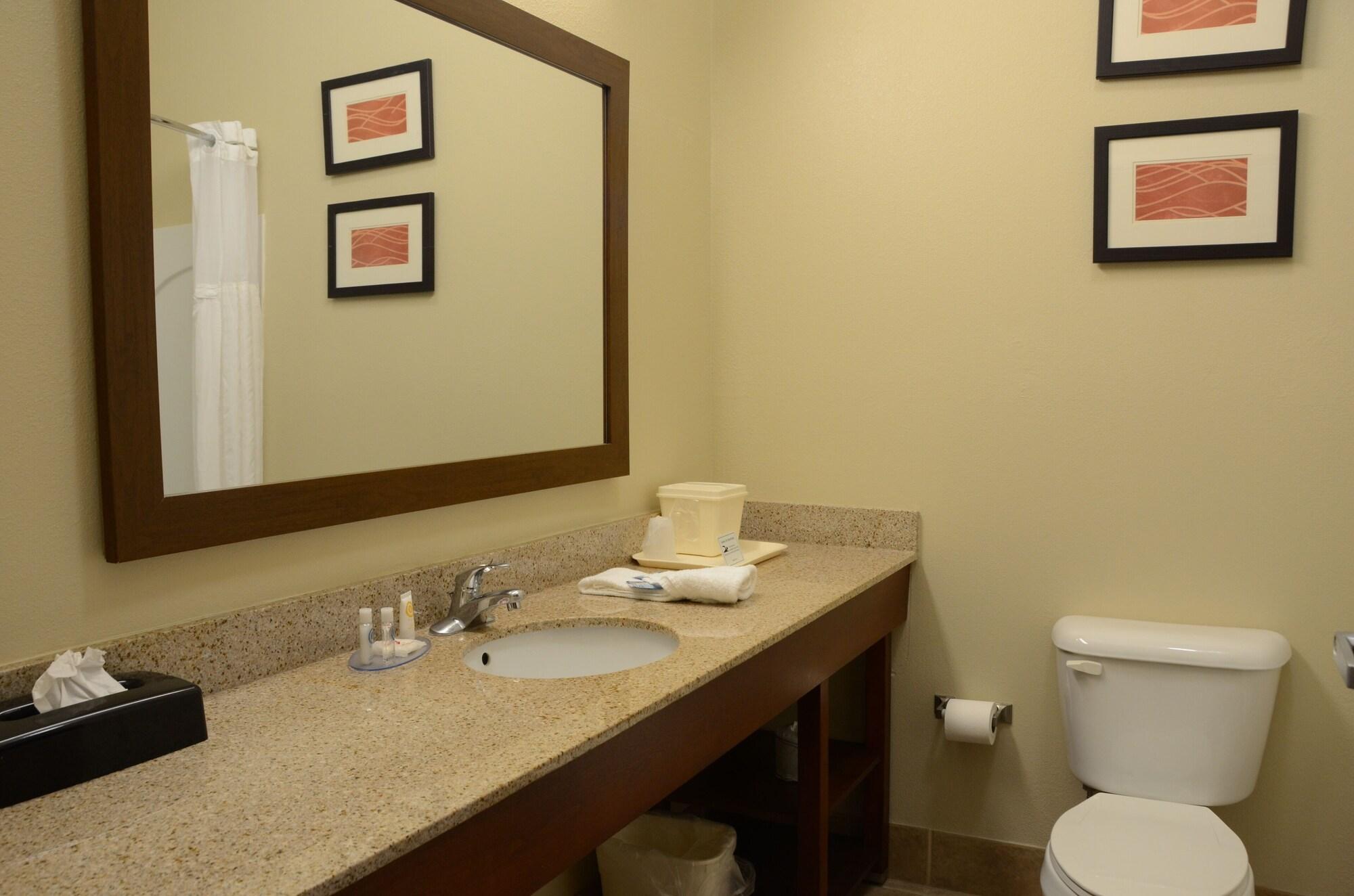 Comfort Inn & Suites Кейв Сити Екстериор снимка