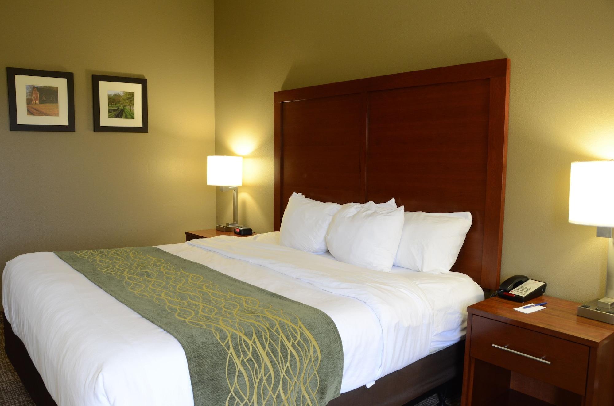 Comfort Inn & Suites Кейв Сити Екстериор снимка
